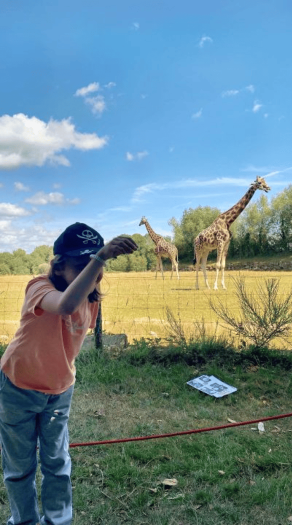 Enfant en sortie au zoo avec deux Girafes en arrière-plan