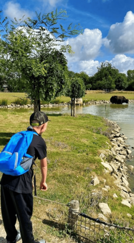 Enfant au bord d'un enclos lors de la sortie au zoo