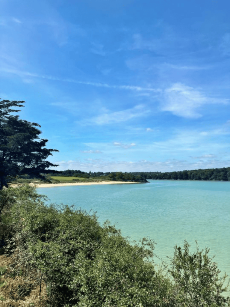 une vue sur l'eau depuis le sentier