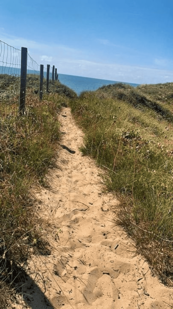 un chemin menant à la plage