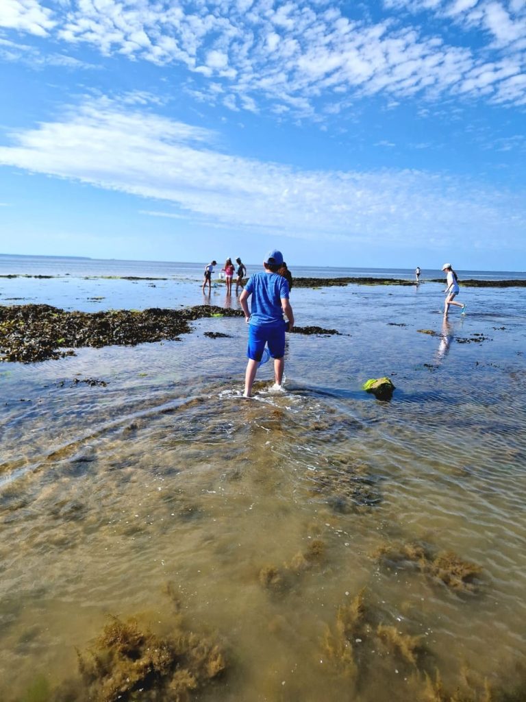 un groupe de personnes pêchant à marée basse